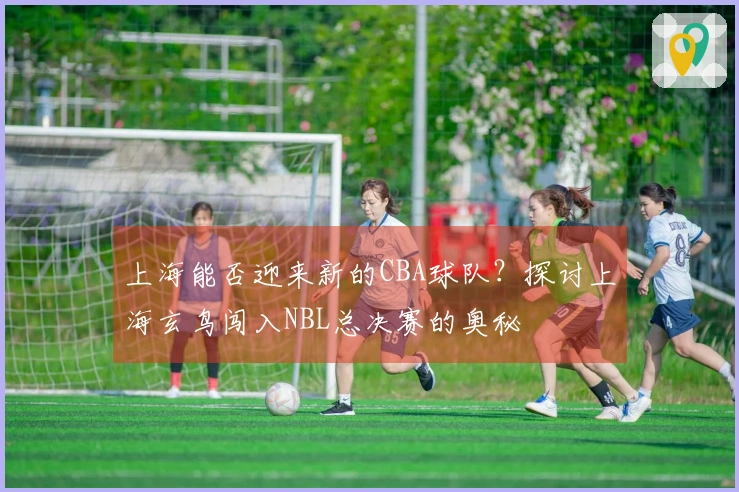 上海能否迎来新的CBA球队？探讨上海玄鸟闯入NBL总决赛的奥秘